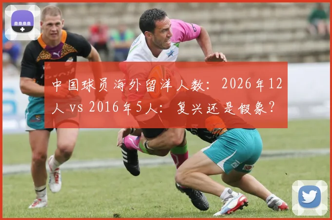中国球员海外留洋人数：2026年12人 vs 2016年5人：复兴还是假象？